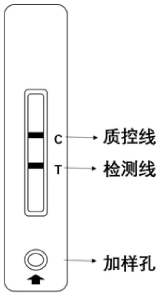 Oxazepam hapten, oxazepam antigen and preparation method and application thereof