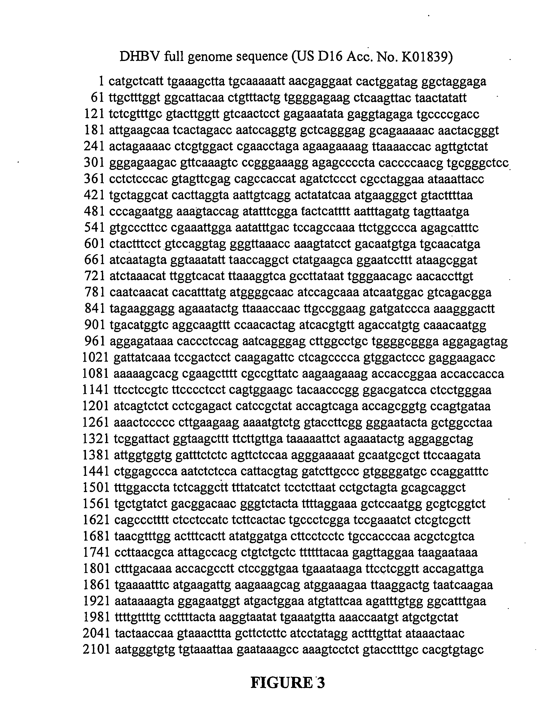 Viral vectors expressing fusion of viral large envelope protein and protein of interest