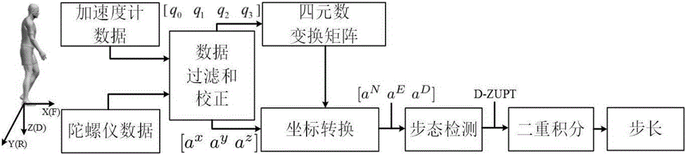 Method for estimating step size of personnel based on inertial sensing