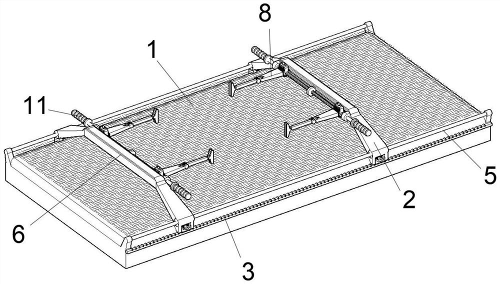 Operation auxiliary device for animal model