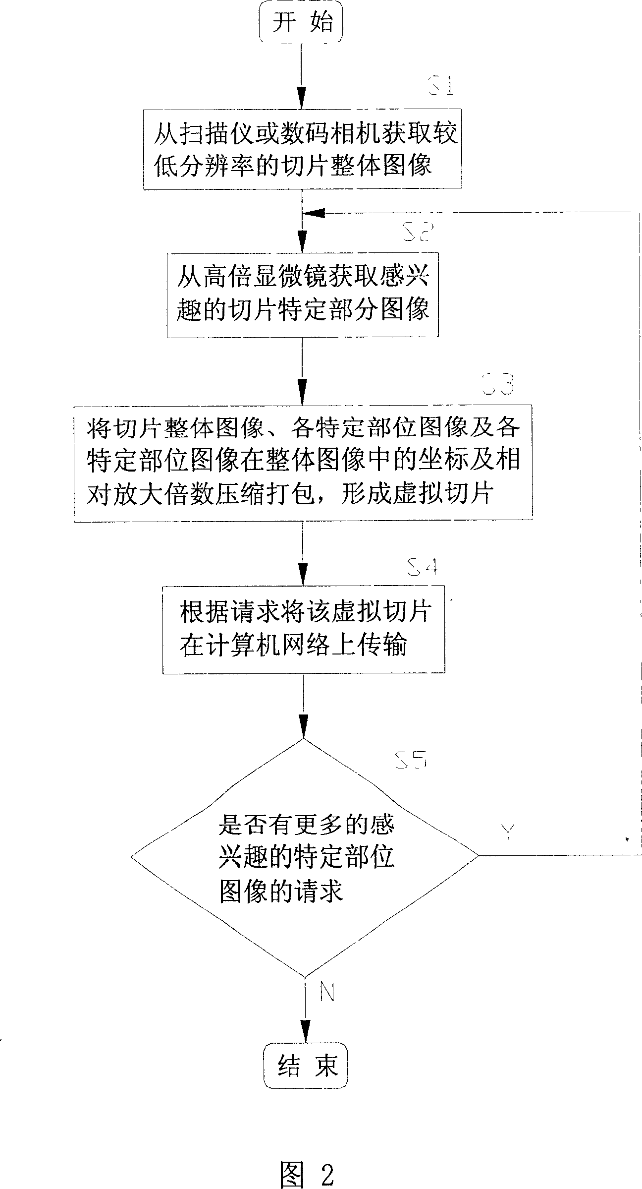 Virtual microscopic section method and system