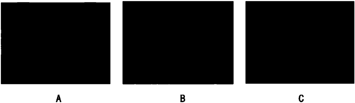 A Visual Positioning Method Based on Color Blocks and Their Topological Relationships