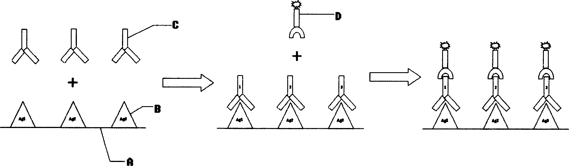 Polypeptide chip and preparation process thereof, and method for preparing monoclonal antibody group using the same