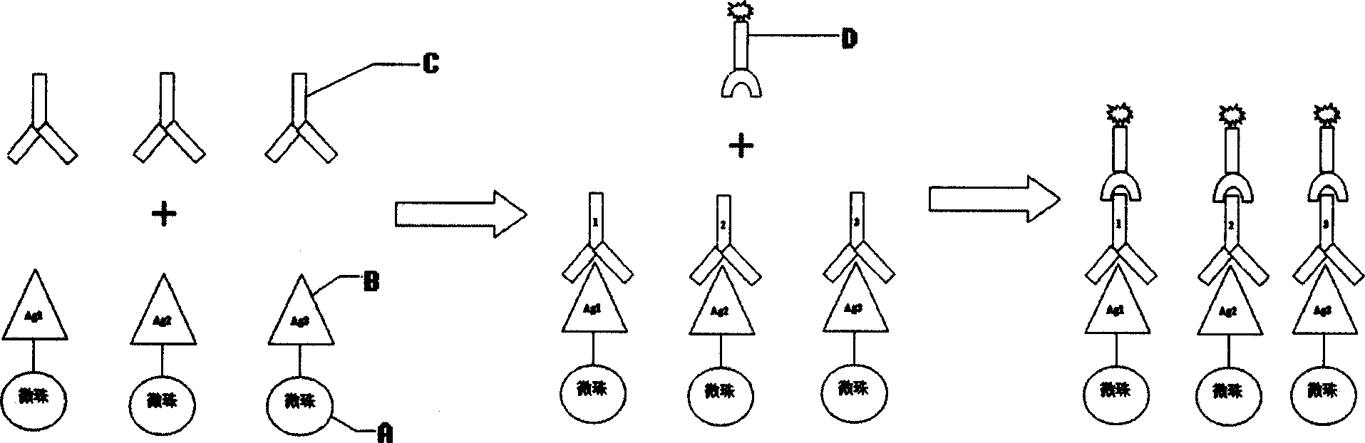 Polypeptide chip and preparation process thereof, and method for preparing monoclonal antibody group using the same