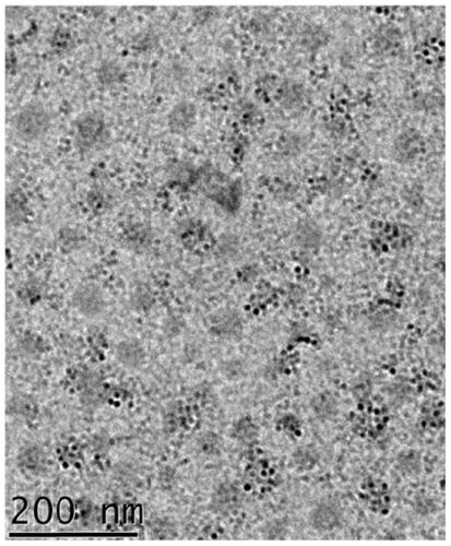 Temperature-sensitive chiral amino acid copper complex catalyst and preparation method thereof