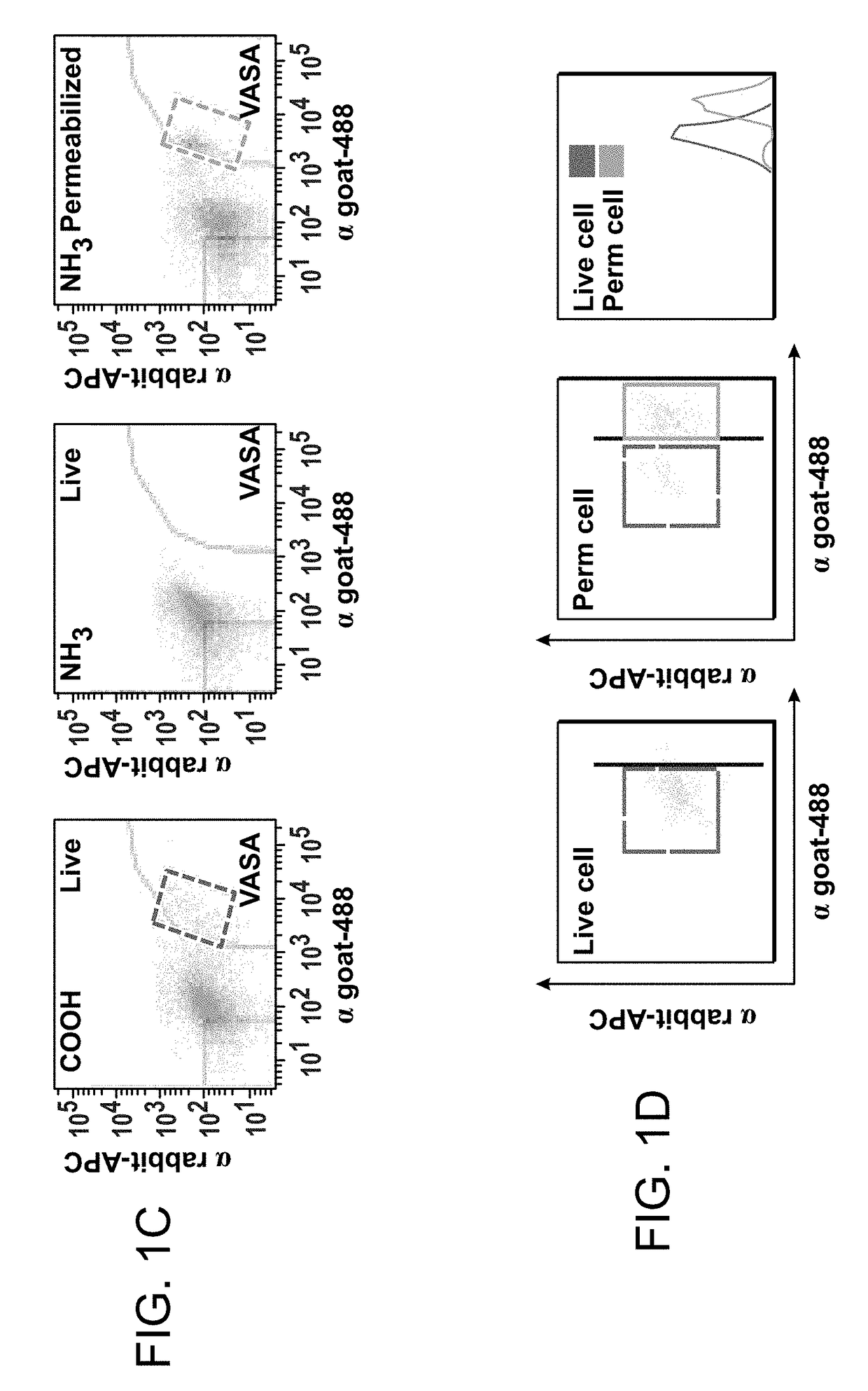 Compositions and methods for enhancing bioenergetic status in female germ cells