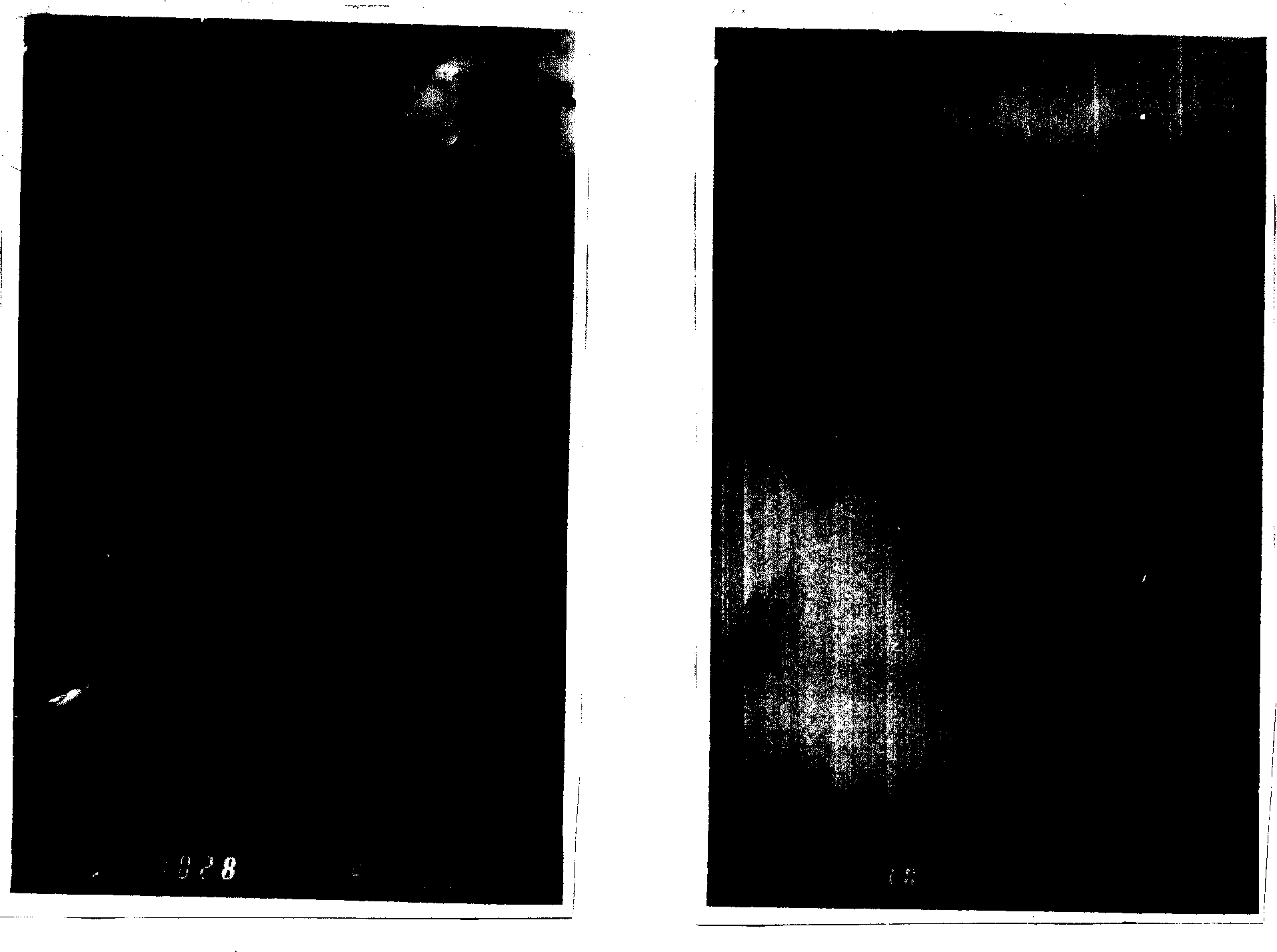 Polyester/lamellar silicate nano composite material and preparation method thereof