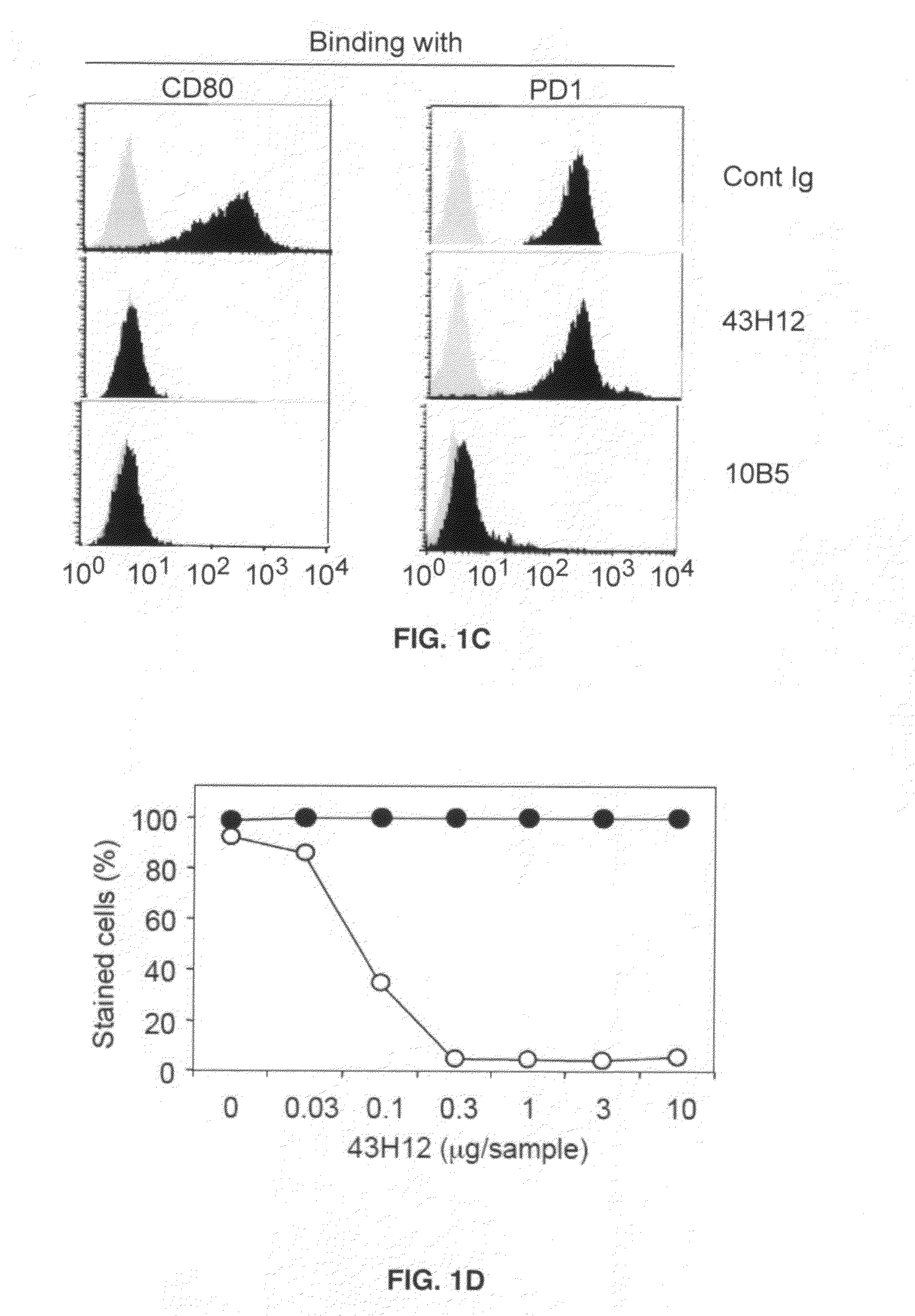 Inhibition of B7-H1/CD80 interaction and uses thereof