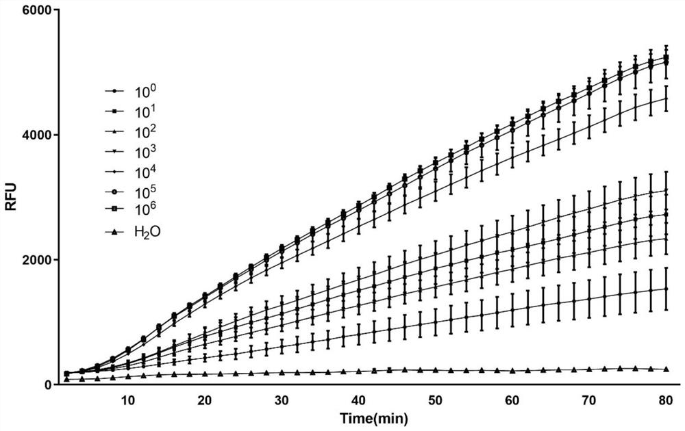 CRISPR-Cas13a (Clustered Regularly Interspaced Short Palindromic Repeats-Cas13a) system for detecting coxiella burnetii nucleic acid