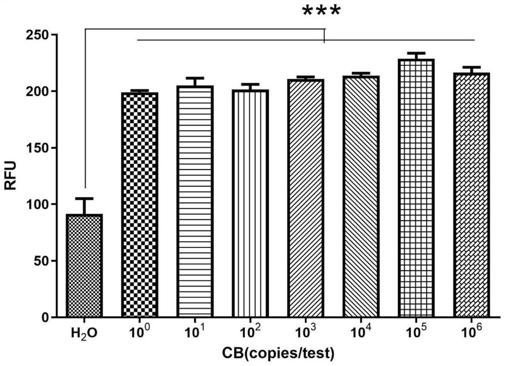 CRISPR-Cas13a (Clustered Regularly Interspaced Short Palindromic Repeats-Cas13a) system for detecting coxiella burnetii nucleic acid