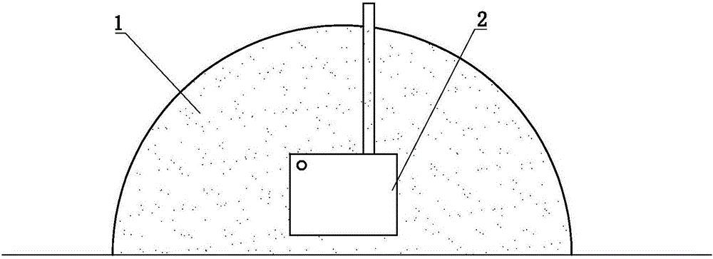 Three-dimensional planting body and three-dimensional planting method