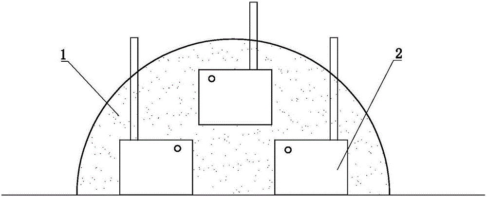 Three-dimensional planting body and three-dimensional planting method