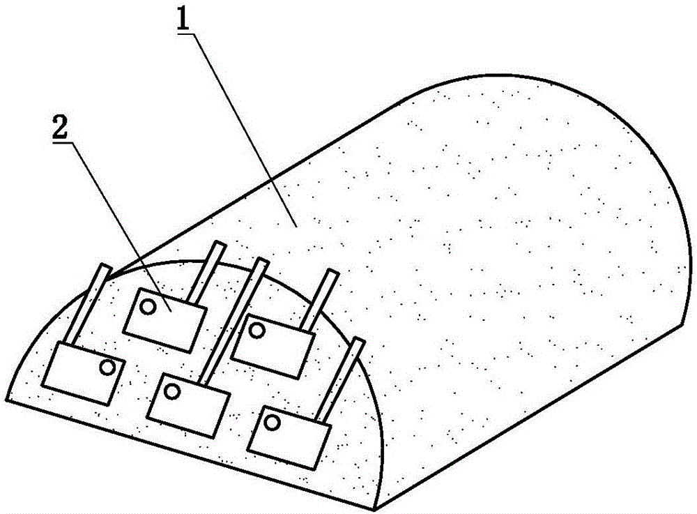 Three-dimensional planting body and three-dimensional planting method