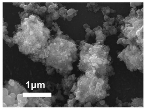 Carbon nanotube-containing carbon shell-coated silicon negative electrode material and preparation method thereof