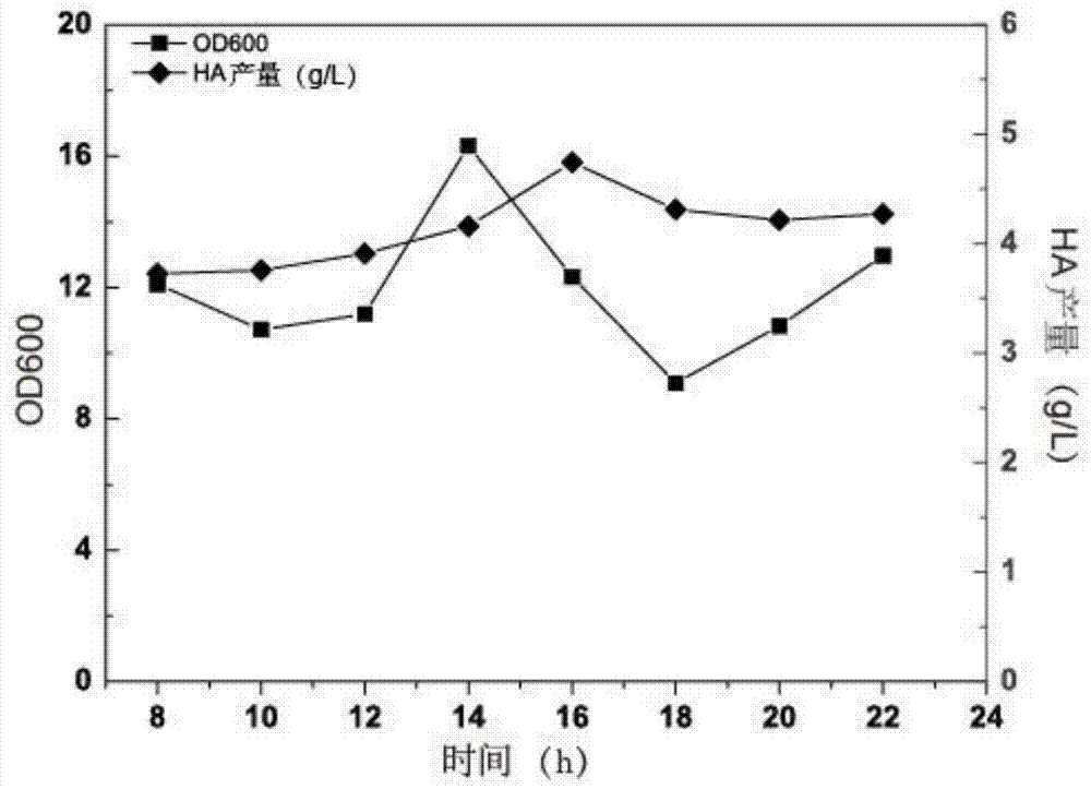 Method for improving fermentation yield of low-molecular hyaluronic acid (HA) by adding hyaluronidase