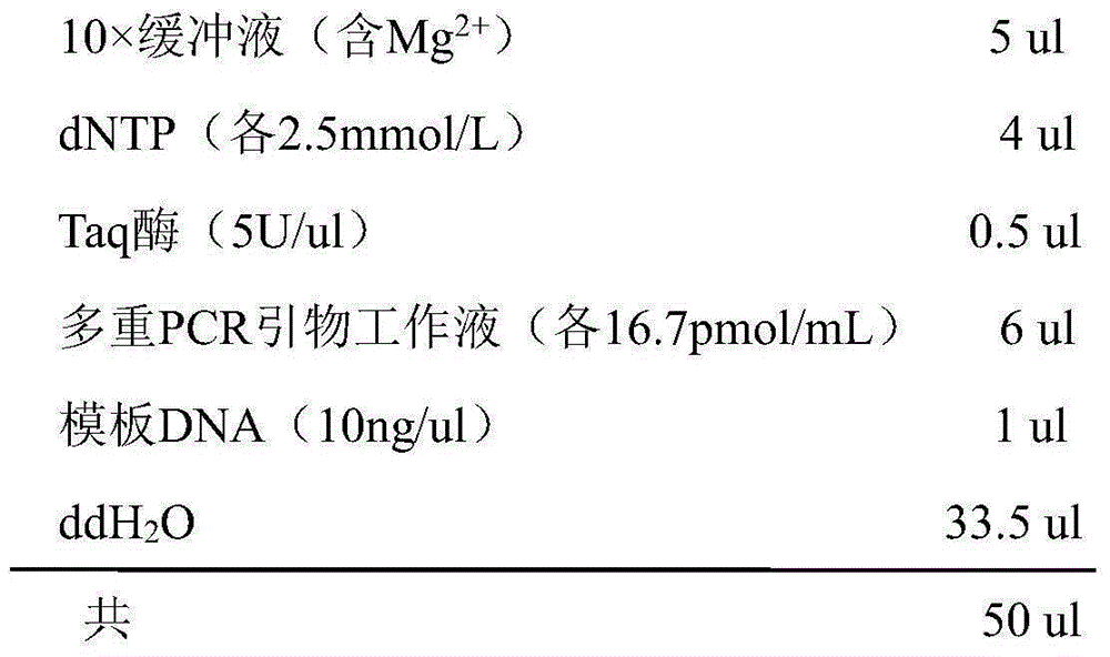 DNA label sequence, sequencing library construction method and kit