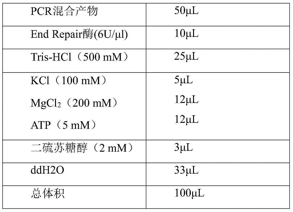 DNA label sequence, sequencing library construction method and kit