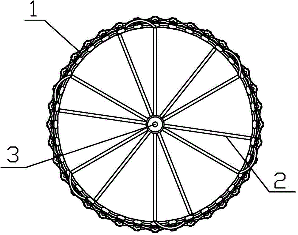 Vena cava filter