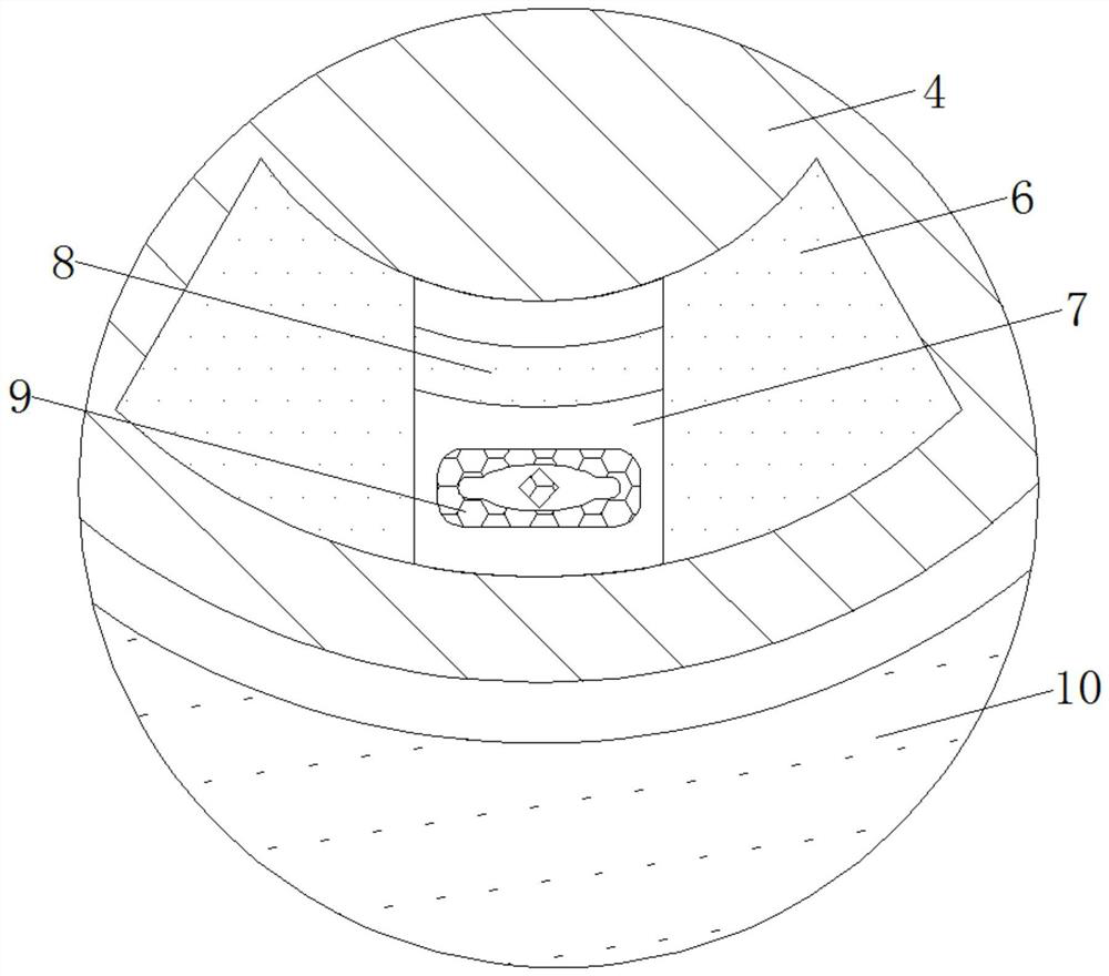 Anti-misplug plug and anti-misplug socket for software engineering equipment