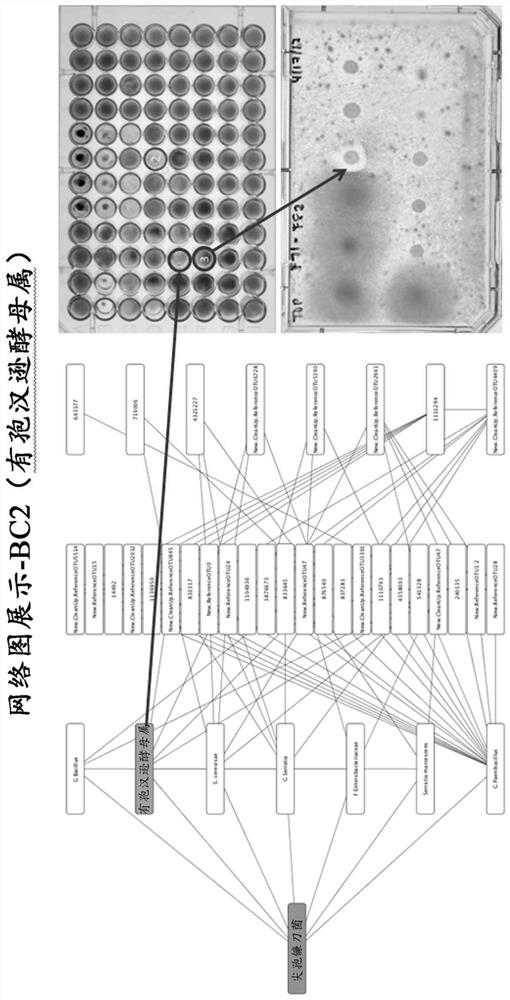 Microbial compositions for the prevention or reduction of growth of fungal pathogens on plants