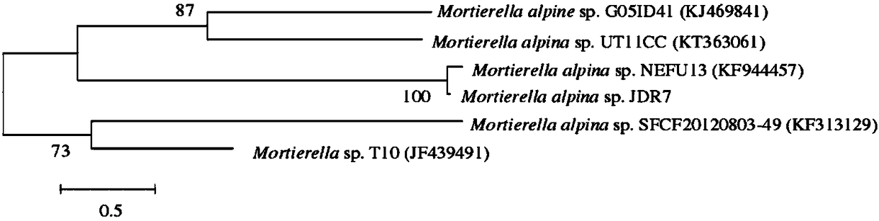 Single-carrier polycyclic aromatic hydrocarbon mixed bacterial agent with low temperature degradation-resistant effect and preparation method and application thereof