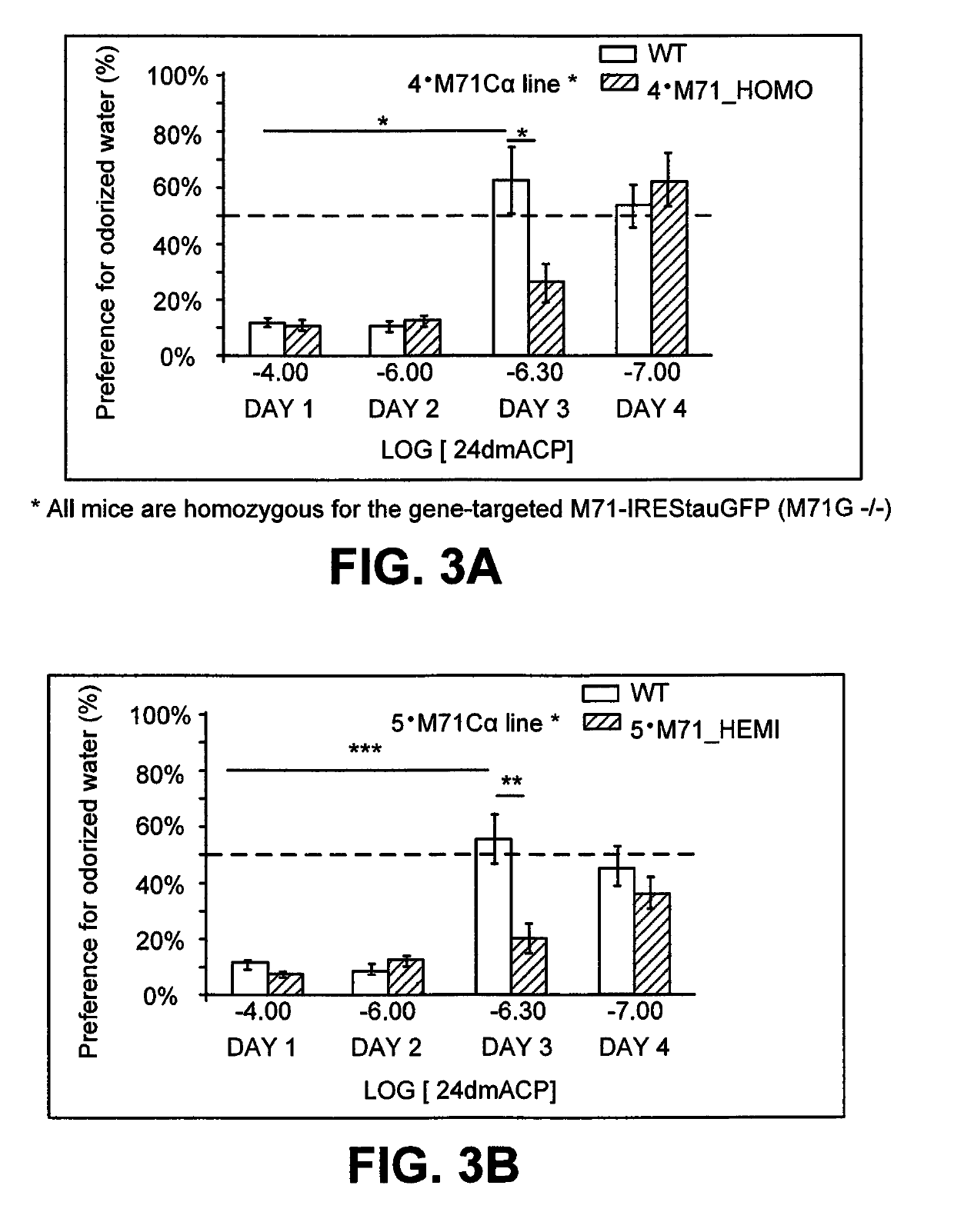 DNA sequence that increases odorant receptor representation in the olfactory system