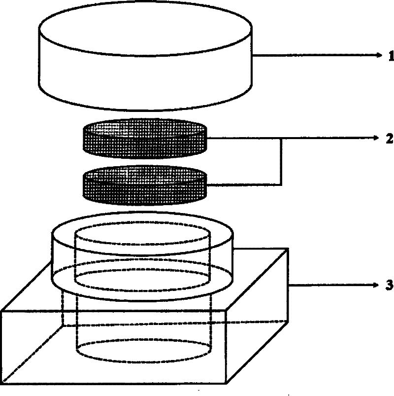 Cryopreservation in situ apparatus and method for adherent cell three-dimensional culture