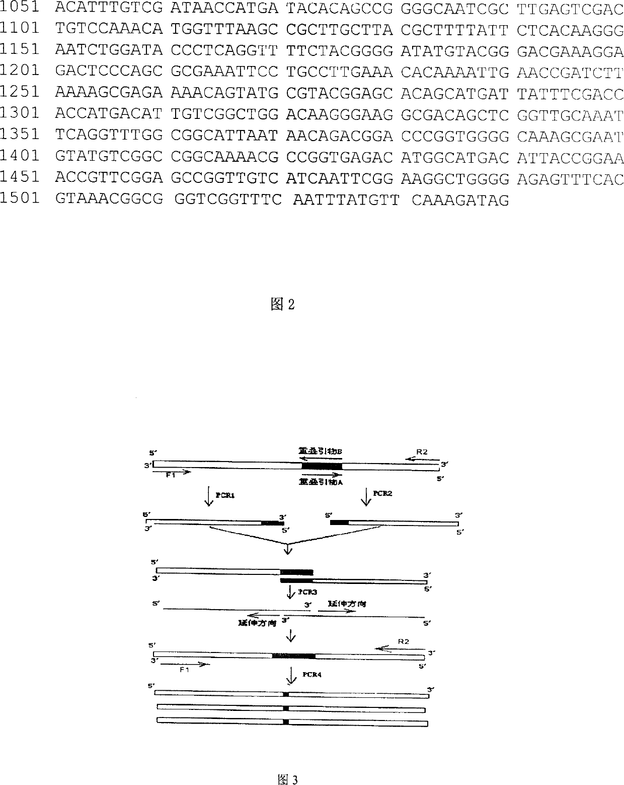 Acid-proof and high-temperature resistant alpha-amylase and production thereof