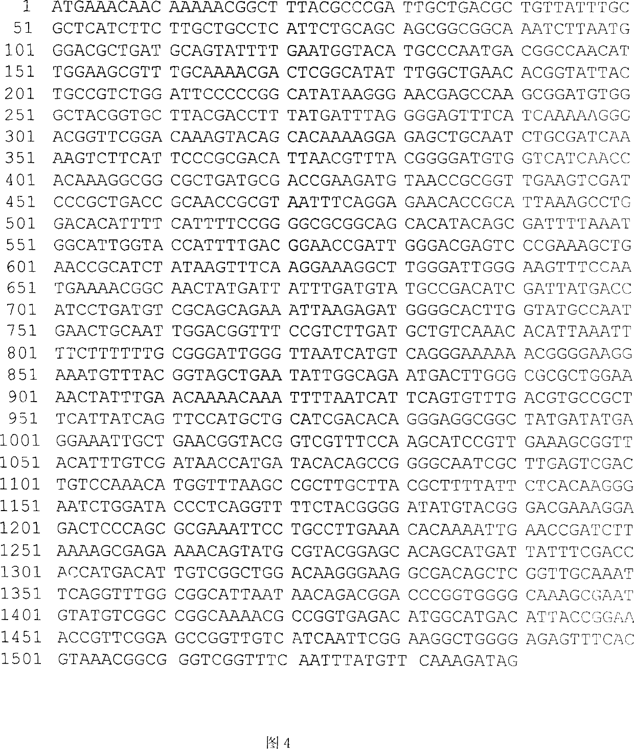 Acid-proof and high-temperature resistant alpha-amylase and production thereof