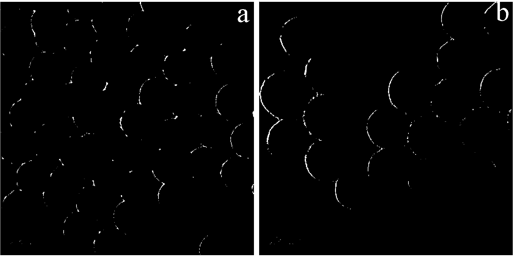 Method for preparing functional modified hollow mesoporous or core/shell mesoporous silicon dioxide nanometer granules