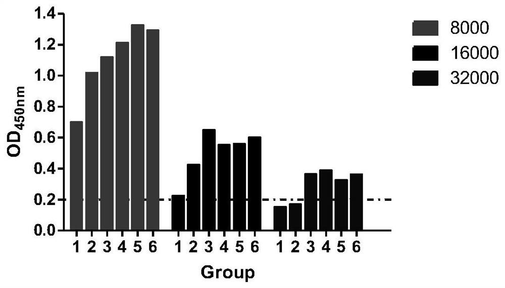 Heat-resistant protective agent for universal monoclonal antibody