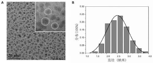 Antioxidant Ce-doped CQDs (carbon quantum dots) as well as preparation method and application thereof