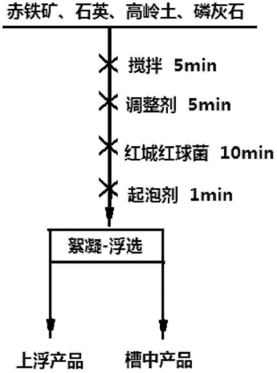 Application of rhodococcuserythropolis in separation of hematite and separation method thereof