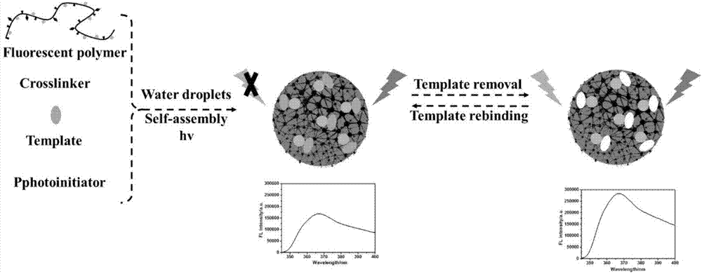 Method for preparing water-dispersing molecular imprinting fluorescent nanoparticles based on macromolecule self-assembling