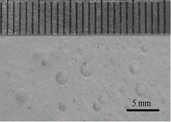 Anti-bacterial artificial flower and preparation method thereof