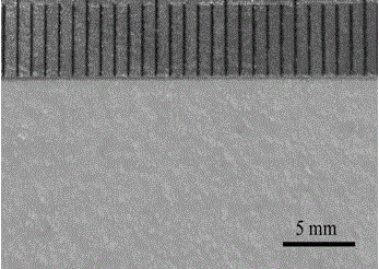 Anti-bacterial artificial flower and preparation method thereof