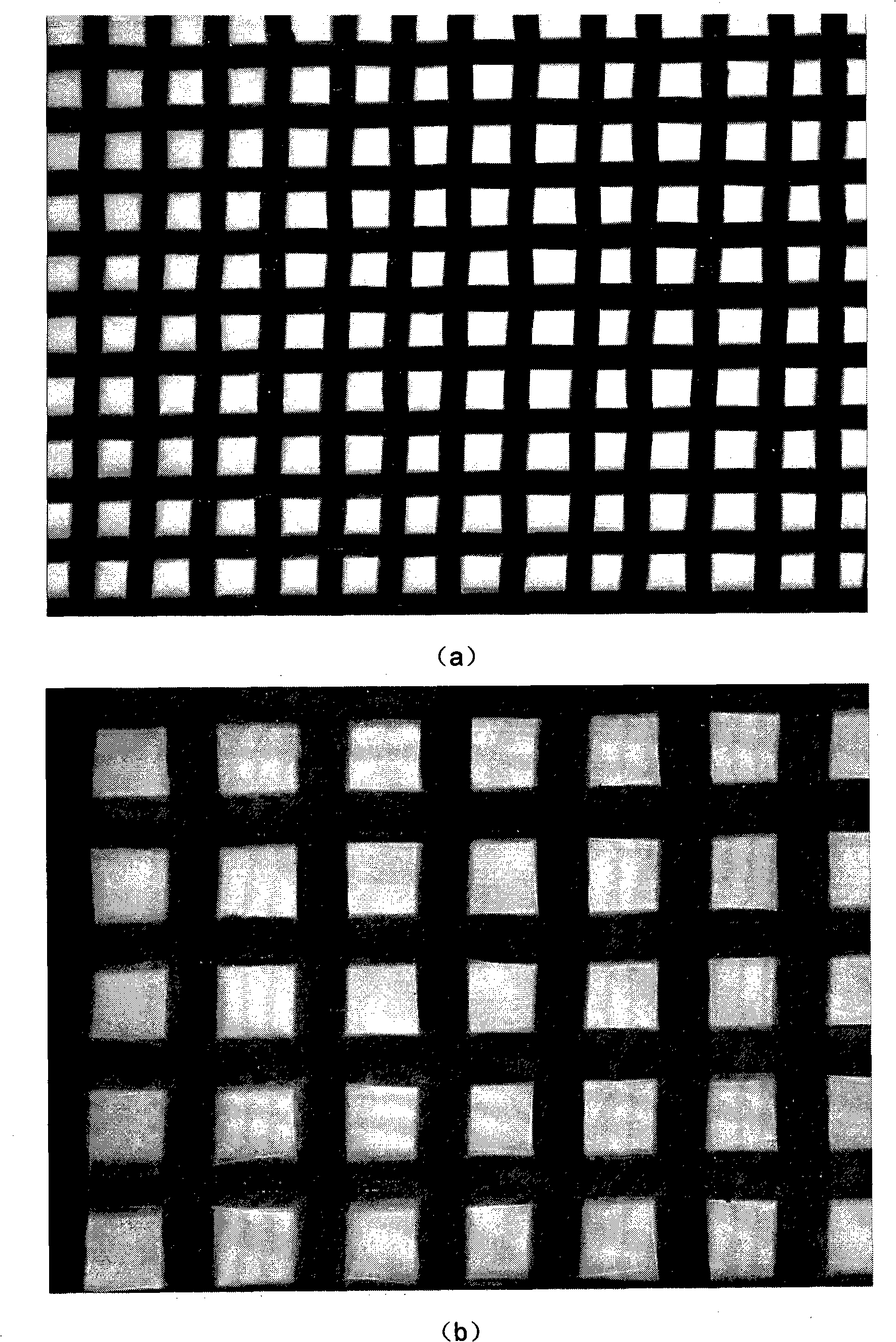 Secondary growth preparation method of X type molecular sieve film on stainless steel metal net