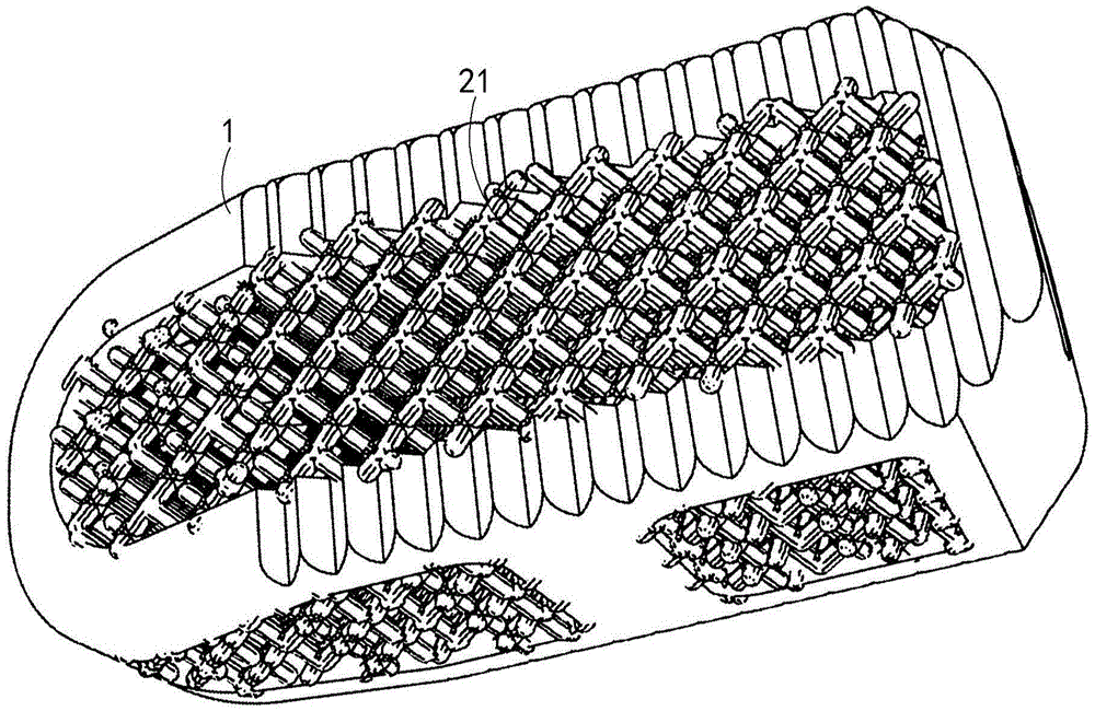 Fusion cage