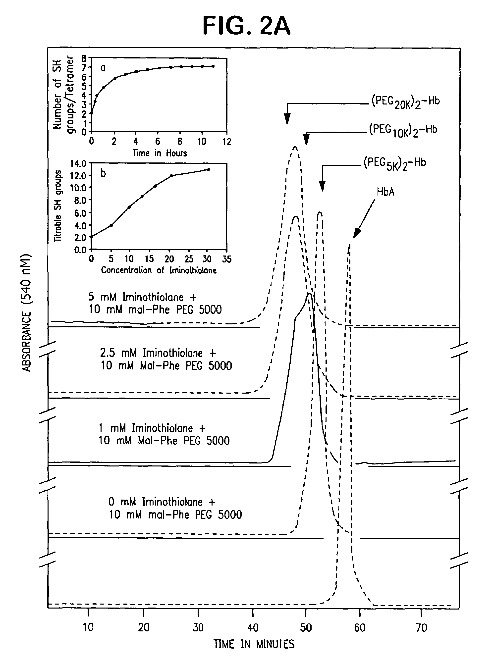 Modified hemoglobin and methods of making same