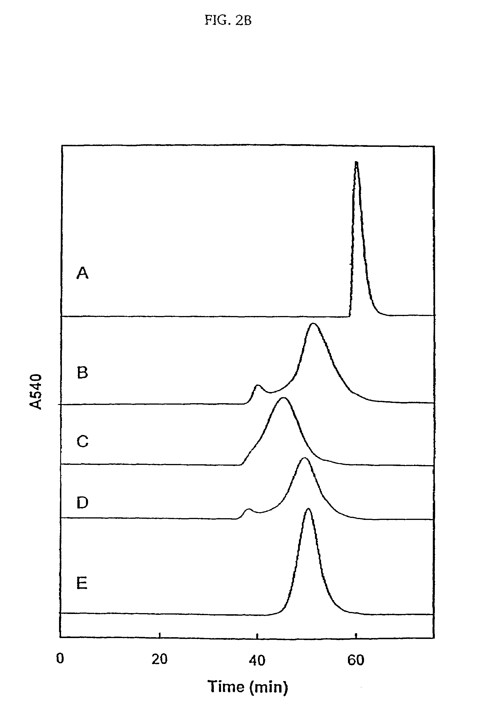 Modified hemoglobin and methods of making same