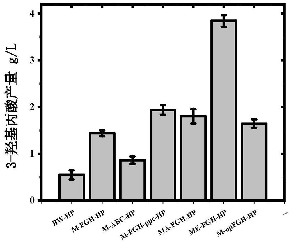 Use of branched chain alpha-keto acid dehydrogenase complex in preparing malonyl coenzyme A