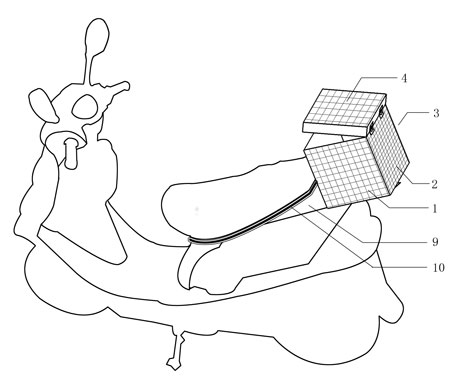 Solar charging device for electric vehicle battery