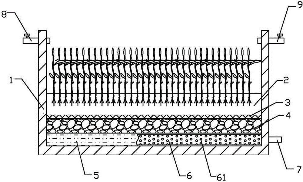 Salt pond for identifying saline-alkaline tolerance in rice and method of using same