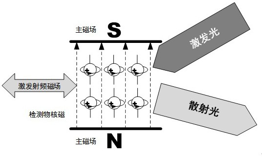 Quantum magneto-optic sensor