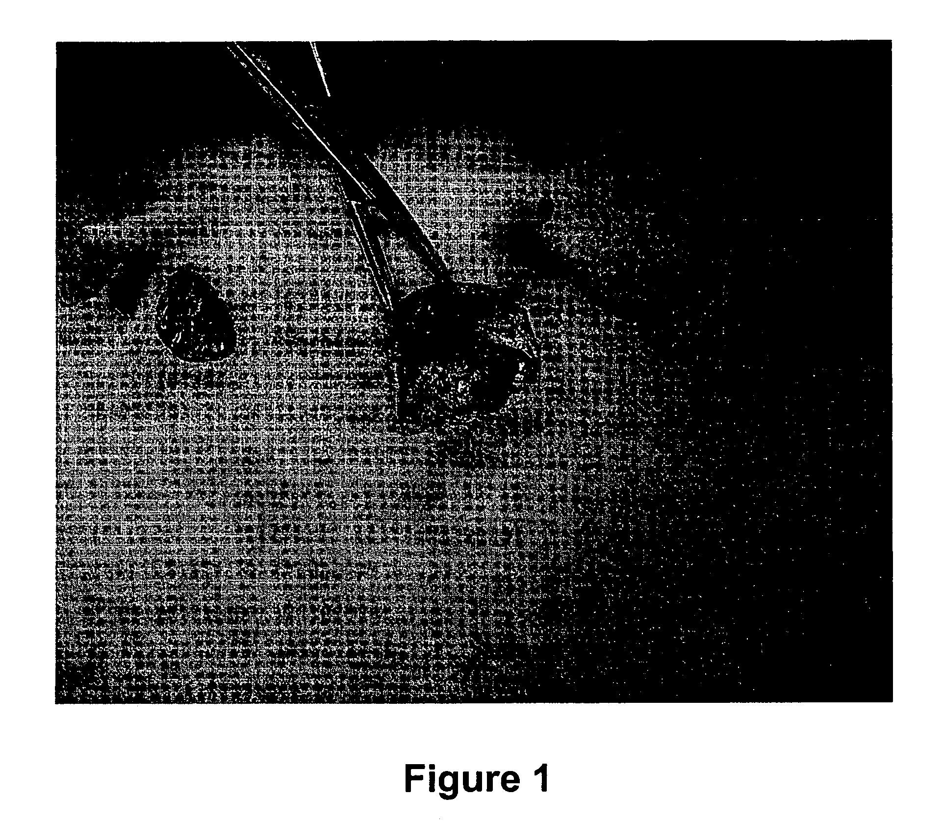 Antibody production method