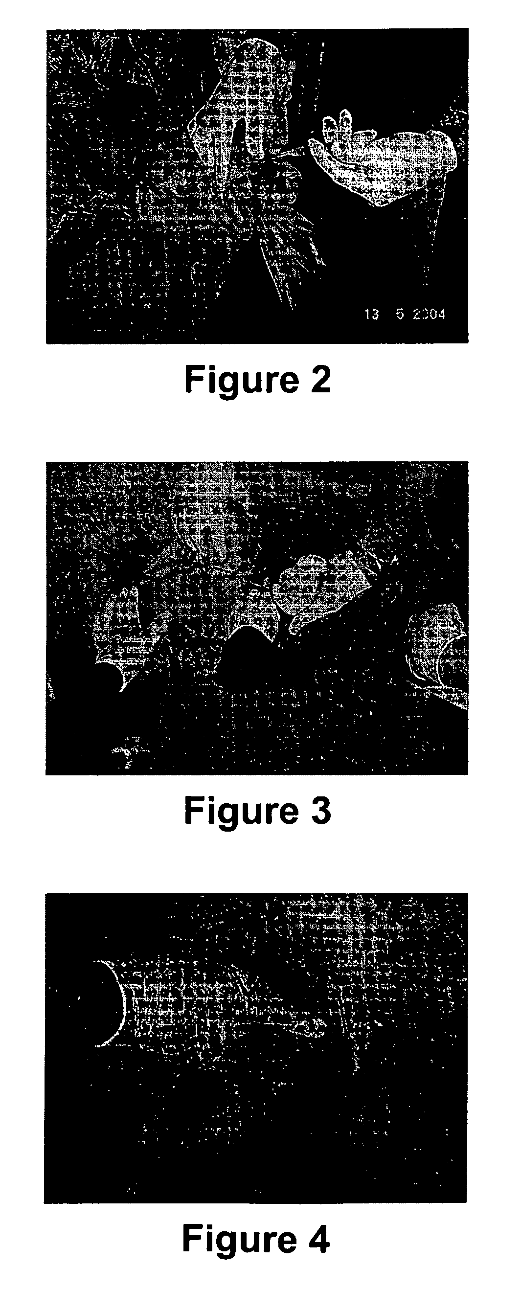 Antibody production method