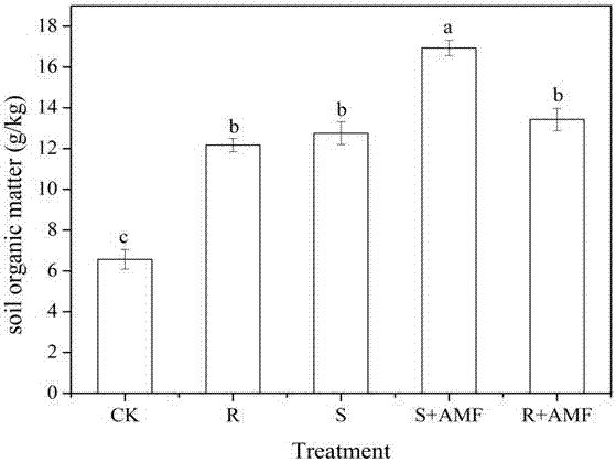 Soil quality improving method via arbuscular mycorrhizal fungi and scented flowers