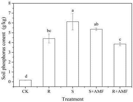 Soil quality improving method via arbuscular mycorrhizal fungi and scented flowers