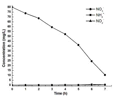 Compound three-dimensional electrode reactor and application thereof in treatment of nitrogenous organic wastewater