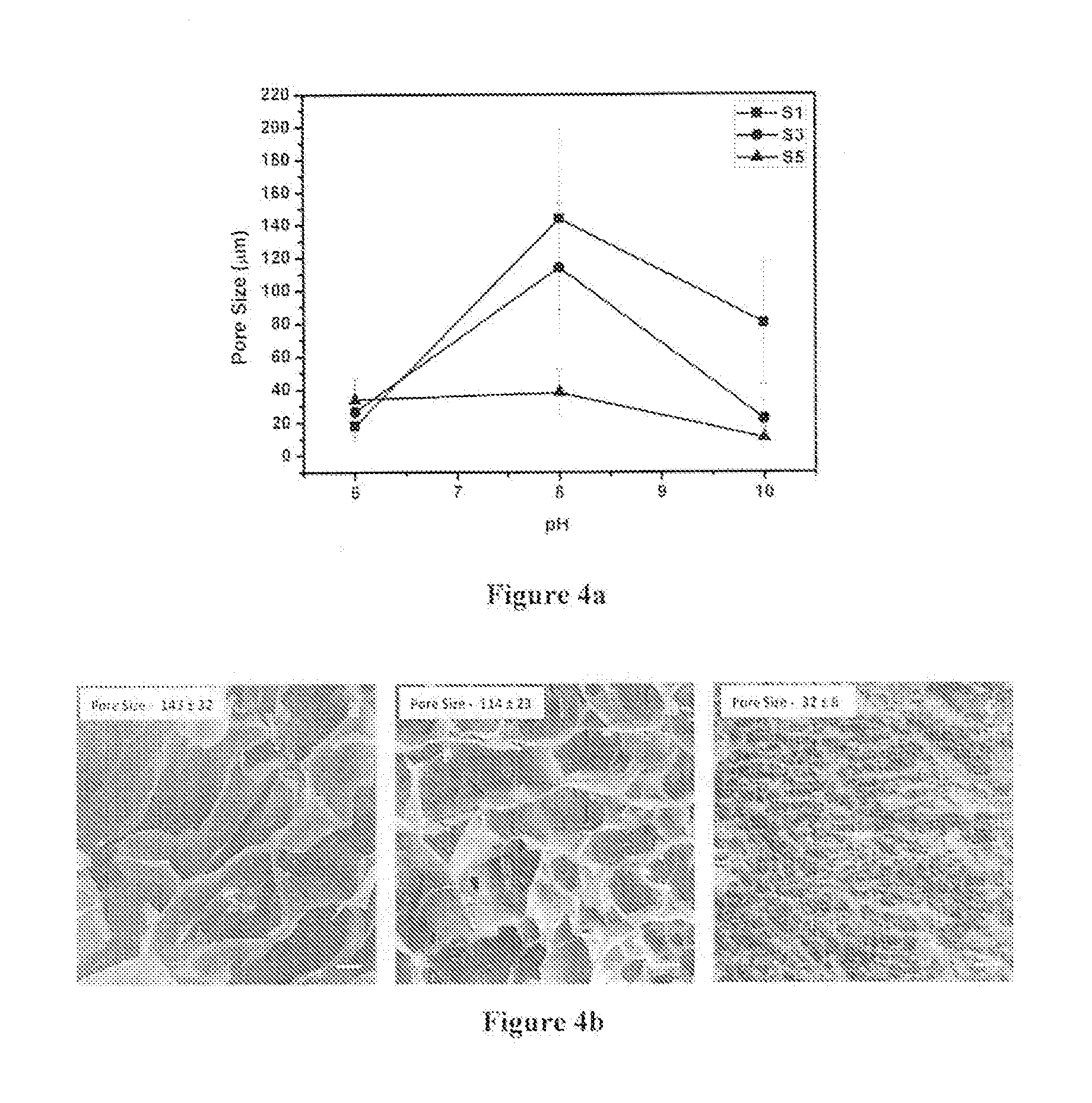 Sophorolipid Mediated Accelerated Gelation of Silk Fibroin